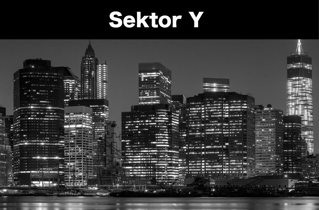 Sektor Y
