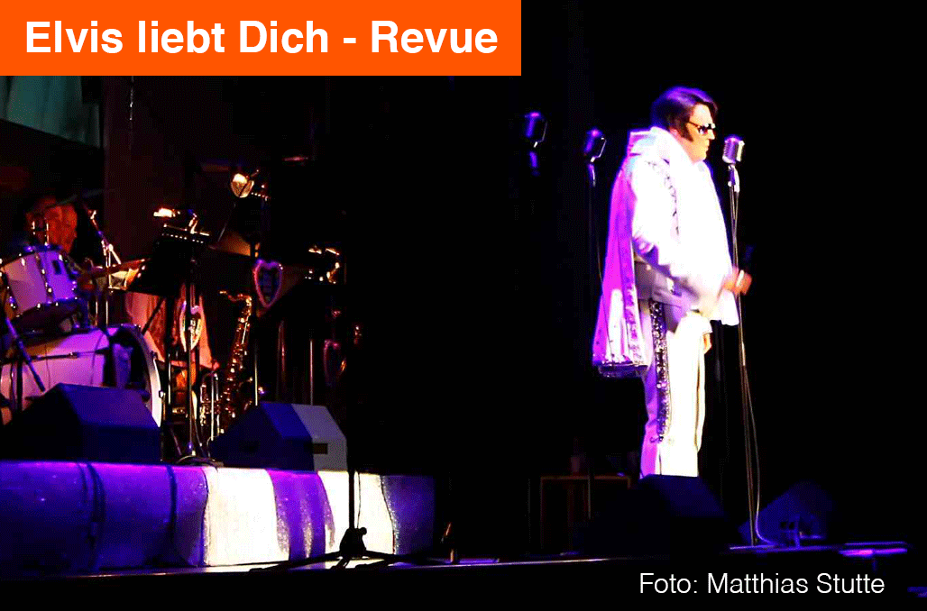 Elvis liebt Dich - Revue